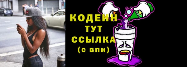 соль ск Арсеньев