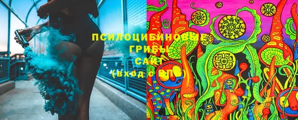 дурь Алексин