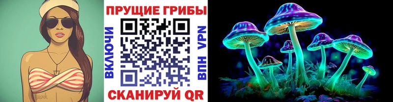darknet как зайти hydra сайт Судогда купить цена Галлюциногенные грибы MAGIC MUSHROOMS