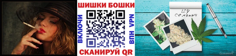 Марихуана сатива  Судогда 